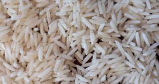 فروش عمده برنج دم سياه ايراني