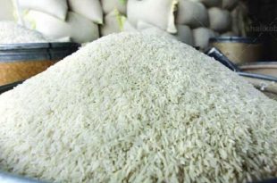 فروش عمده برنج ايراني بروجرد بدون واسطه
